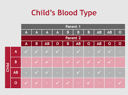Blood Type Inheritance