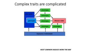 Complex Traits Inheritance
